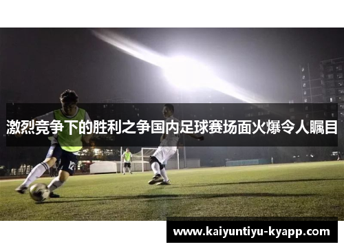 激烈竞争下的胜利之争国内足球赛场面火爆令人瞩目