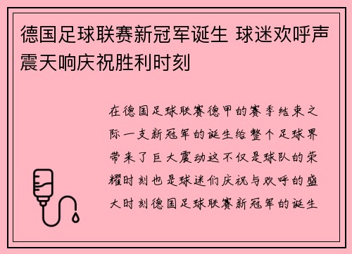德国足球联赛新冠军诞生 球迷欢呼声震天响庆祝胜利时刻